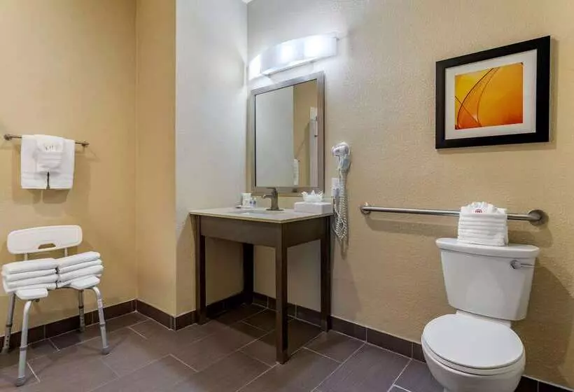 ホテル Comfort Suites Near Sam Houston Race Park