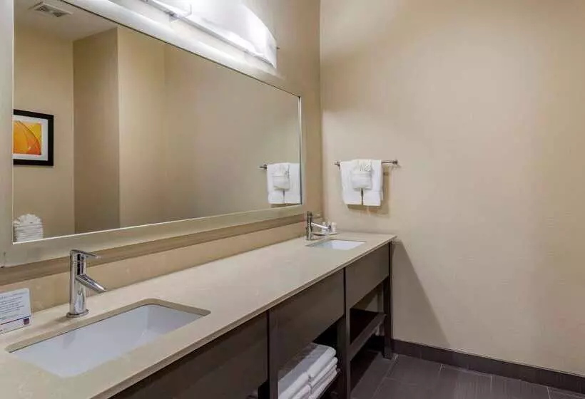 ホテル Comfort Suites Near Sam Houston Race Park