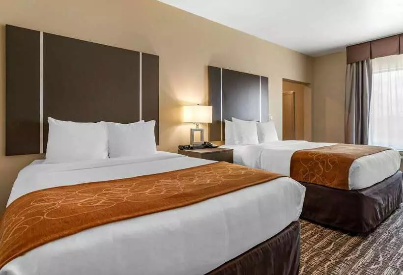 ホテル Comfort Suites Near Sam Houston Race Park