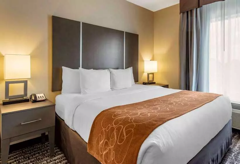 ホテル Comfort Suites Near Sam Houston Race Park