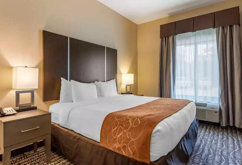 ホテル Comfort Suites Near Sam Houston Race Park