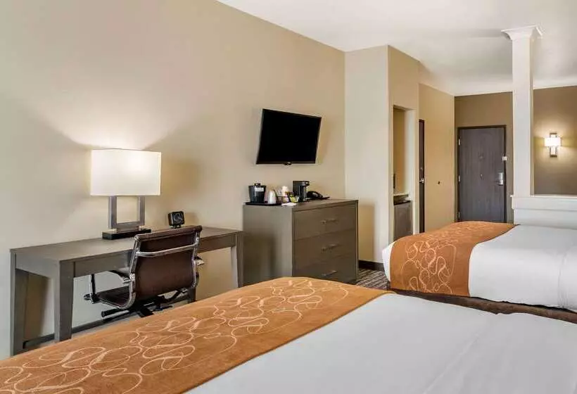 ホテル Comfort Suites Near Sam Houston Race Park