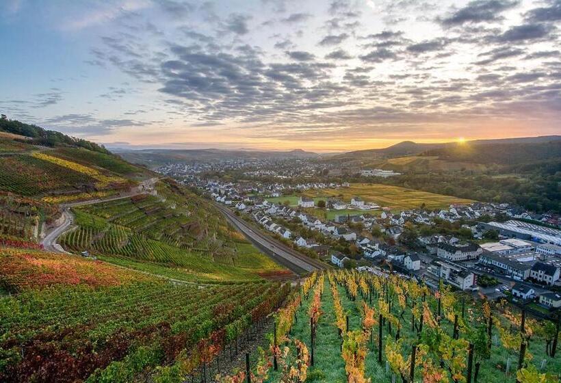 호텔 Pension Helma