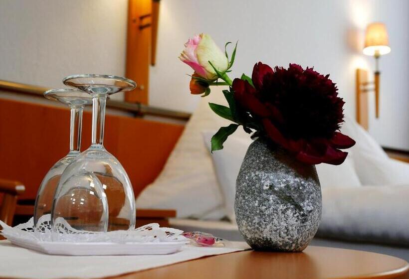 호텔 Pension Helma