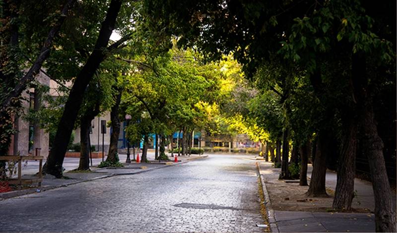 Solace Hotel Santiago