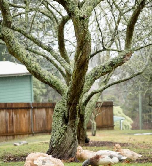 Пансион Etico At Mount Victoria Manor