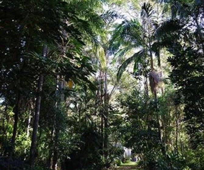 Rumbalara Bed And Breakfast