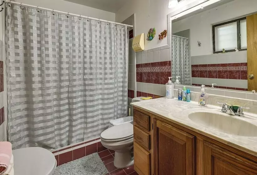 Remote Pet Friendly Harlingen House!