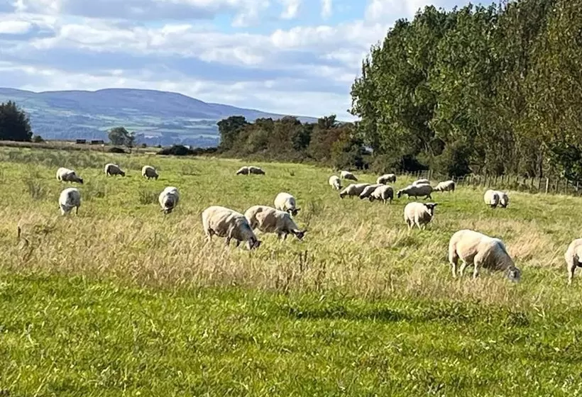 Magilligan   Cottage   Sleeps 6   Parking   Garden