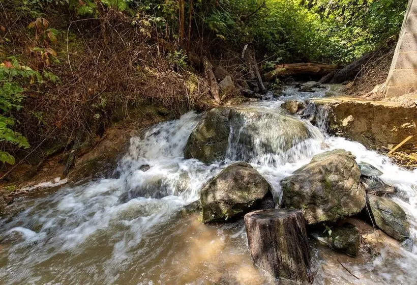 Falling Brook