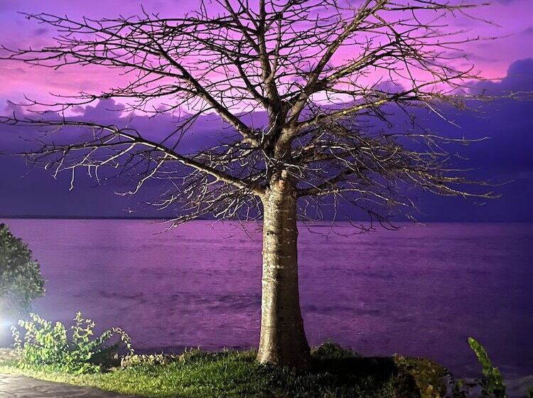 هتل Mwazaro Beach Lodge