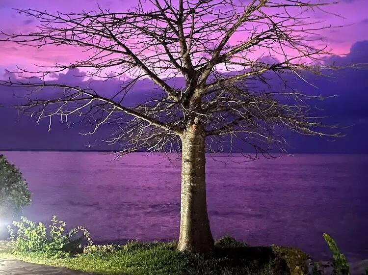 هتل Mwazaro Beach Lodge