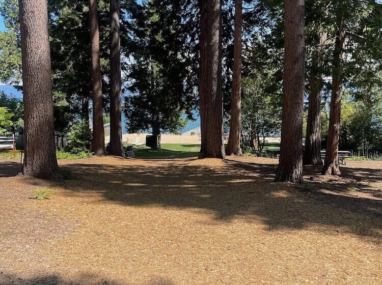 Tahoe City Cabin For 10 Walk To Beach By Sierra Getaways