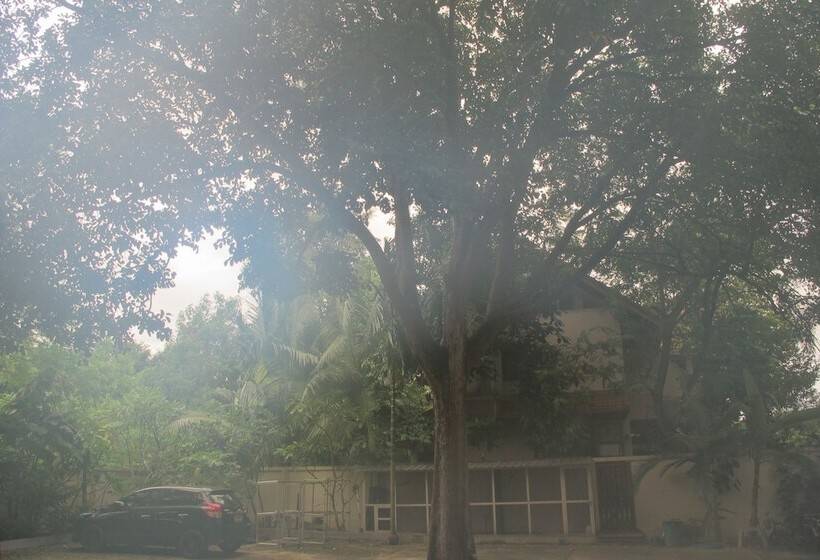 בית מלון כפרי Ap Apartment