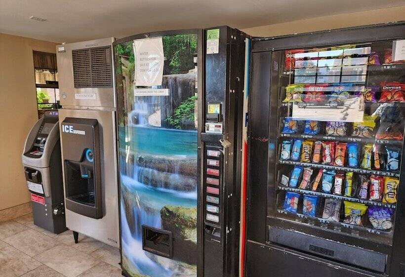 Отель Executive Inn