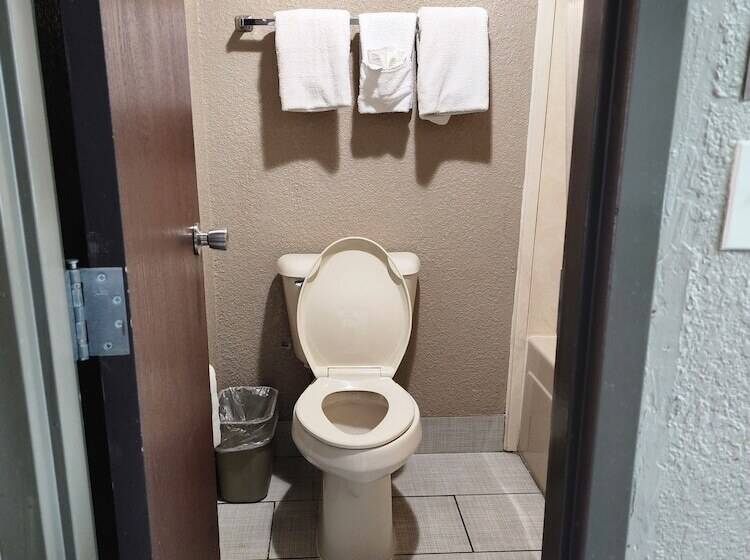 Отель Executive Inn