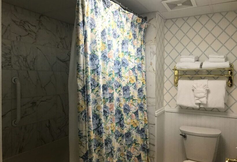 בית מלון כפרי Lilac Tree Suites