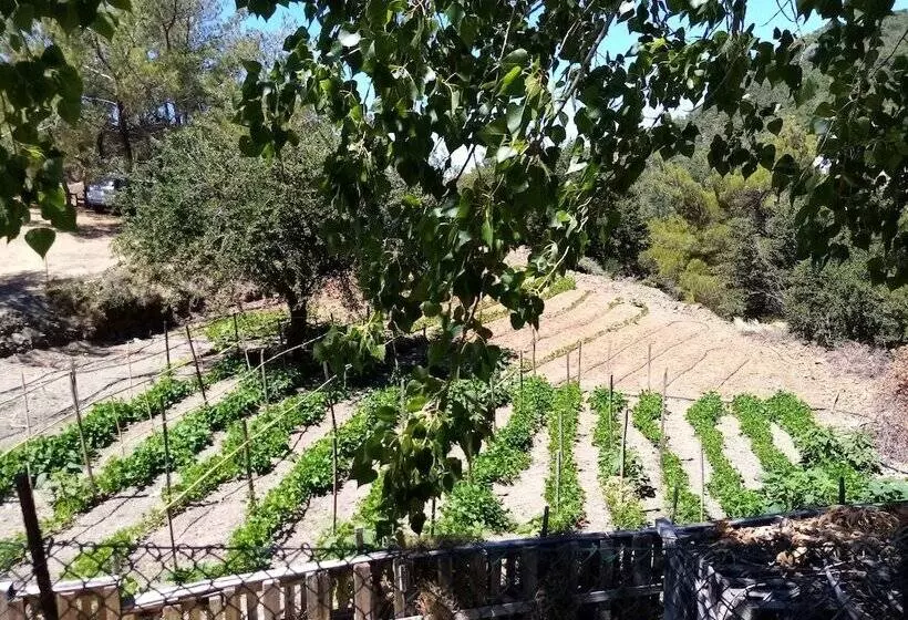 田舎風ホテル Akros Oreon