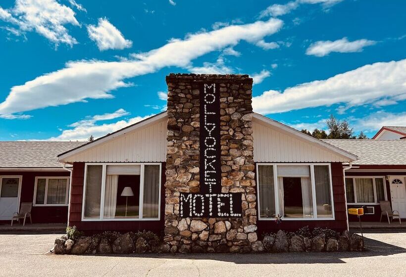 Mollyockett Motel & Swim Spa