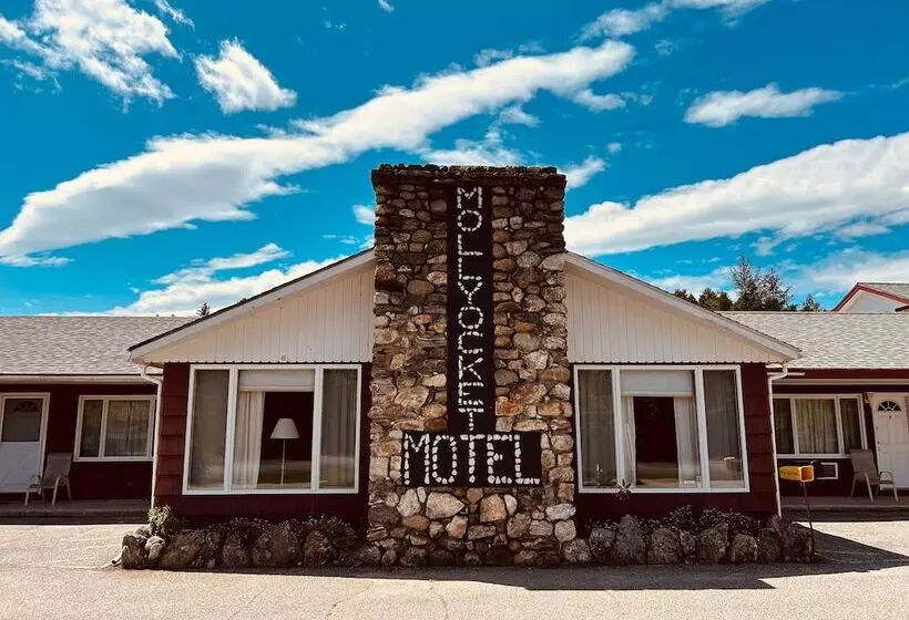 Mollyockett Motel & Swim Spa