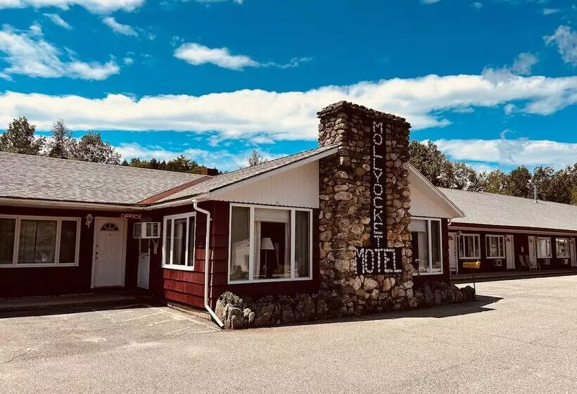 Mollyockett Motel & Swim Spa