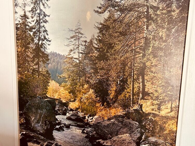 Mollyockett Motel & Swim Spa