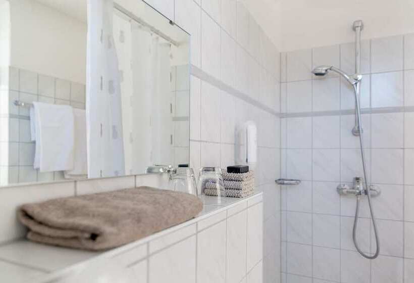 膳宿费 Gasthaus Zum Adler