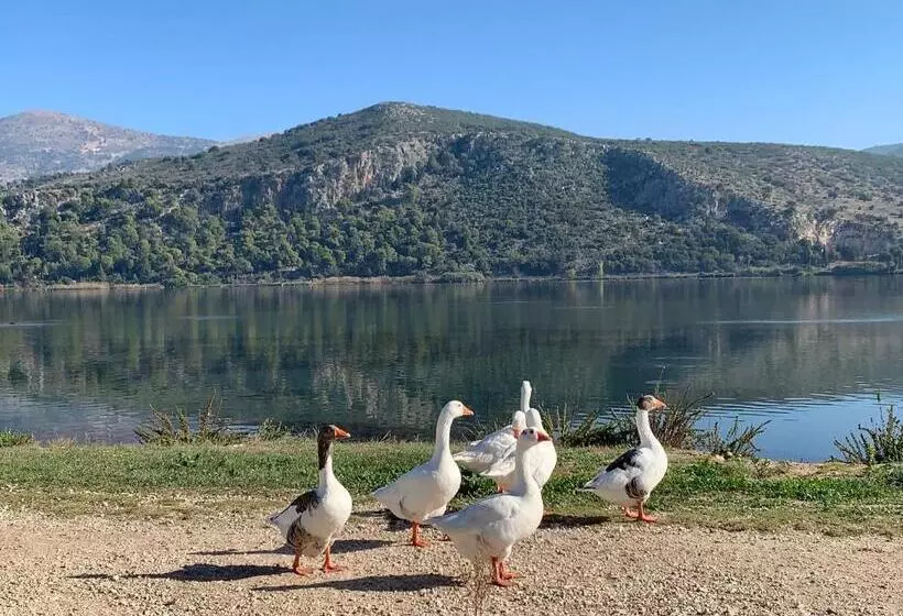 Rouchotas Apartments