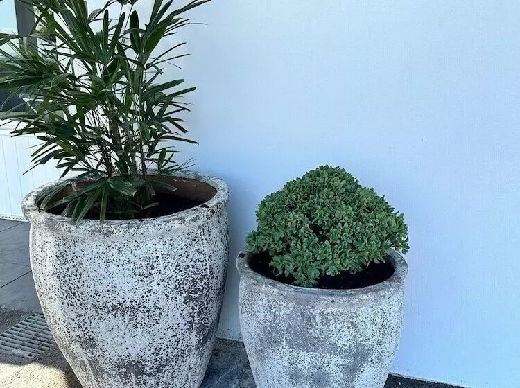 Surf Beach Motel Newcastle