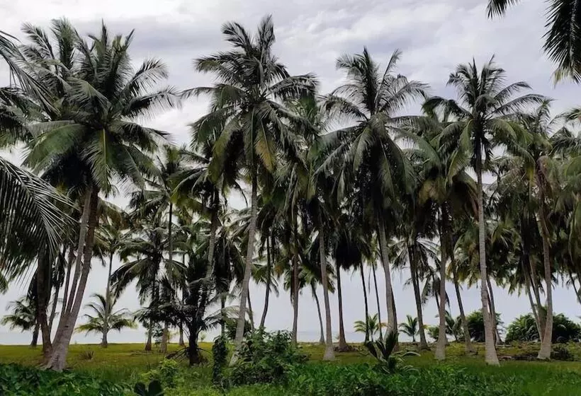 Hotelli Honeymoon Beach Resort