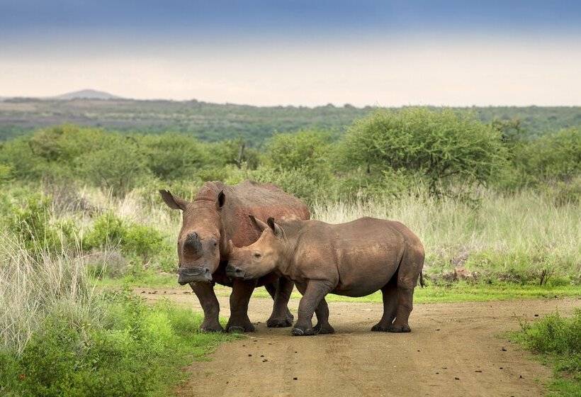 فندق Mbazo Safaris