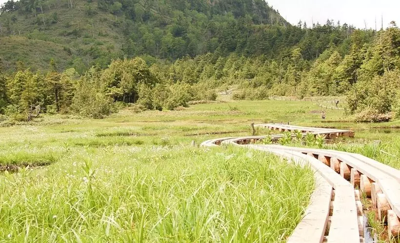 Hotelli Shigakogen Lodge