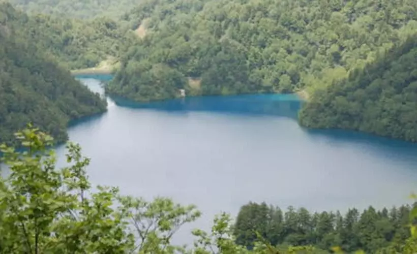 Hotelli Shigakogen Lodge