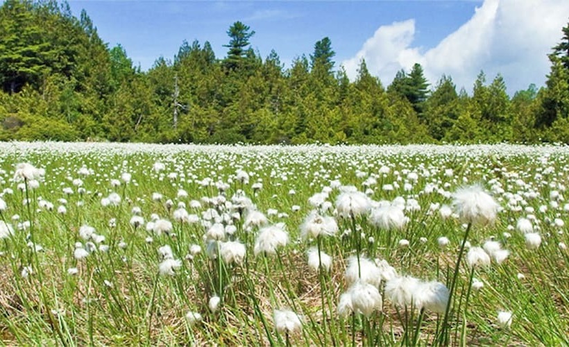 호텔 Shigakogen Lodge