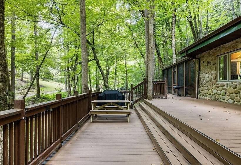 Mountain View Bliss Cozy 1br Cabin