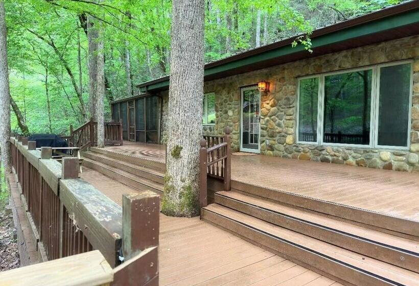 Mountain View Bliss Cozy 1br Cabin