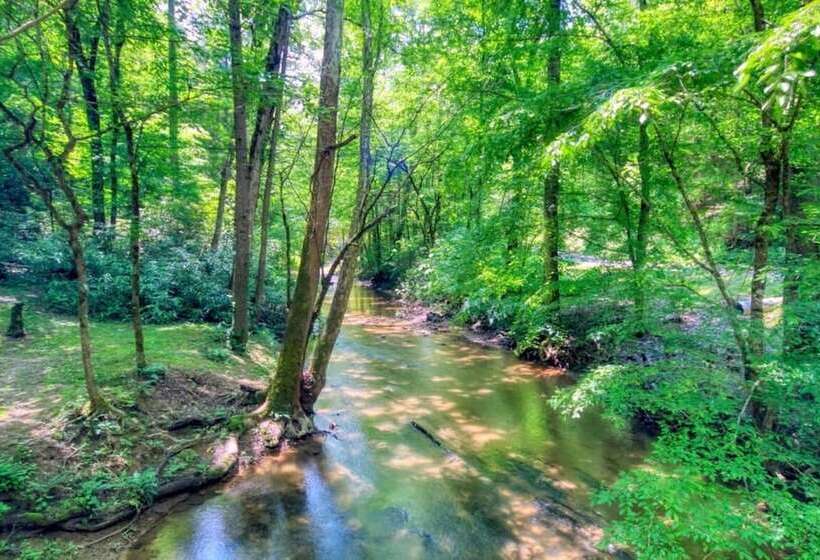 Mountain View Bliss Cozy 1br Cabin