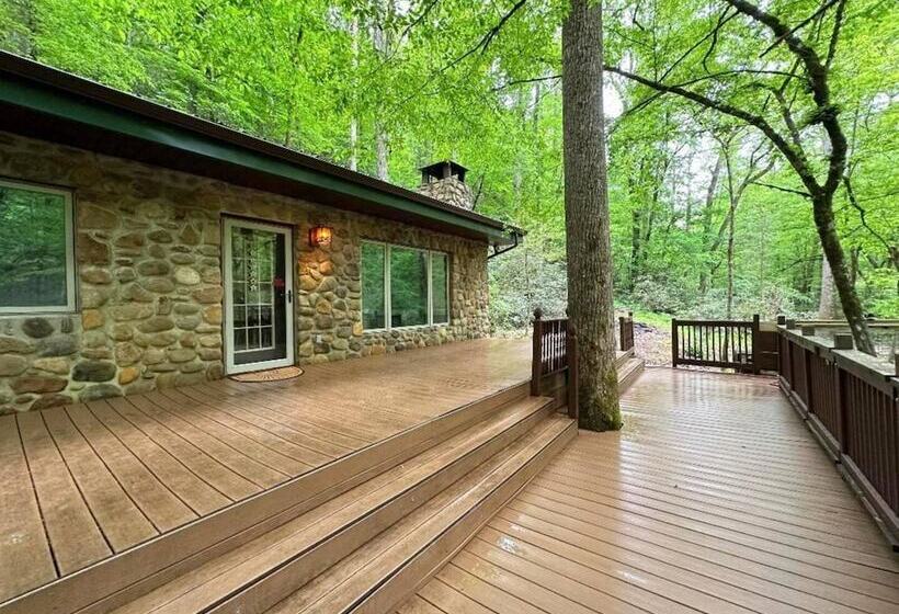 Mountain View Bliss Cozy 1br Cabin