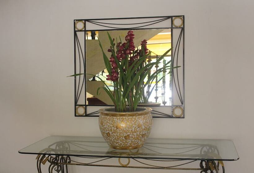 Paradies Hotel Express