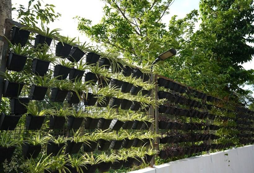 אתר נופש Ciesta Treeo