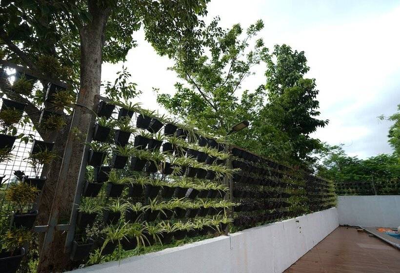 אתר נופש Ciesta Treeo