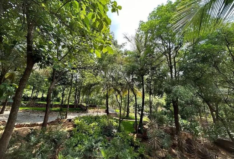 Lomakeskus Soul Nest   Pyramid Valley International Bengaluru