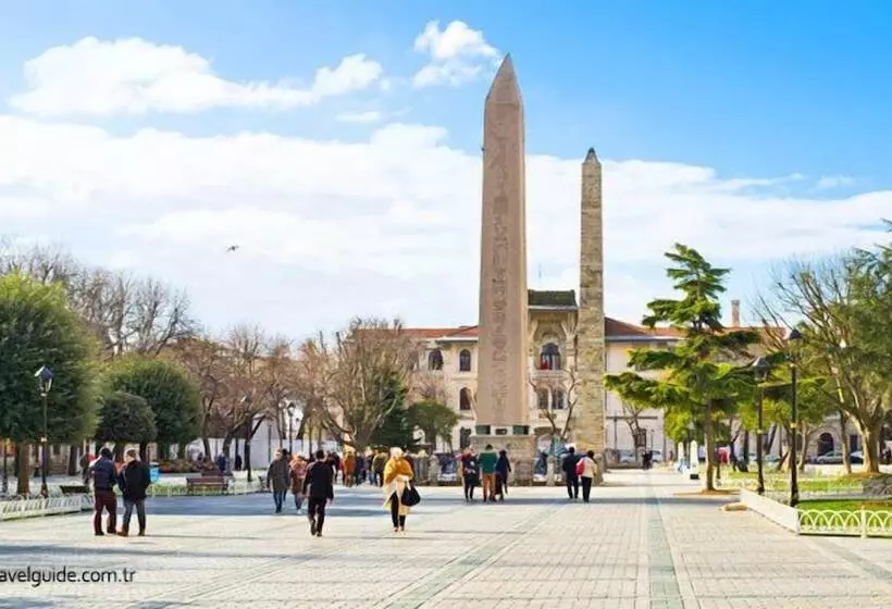 Golden Saray Apart