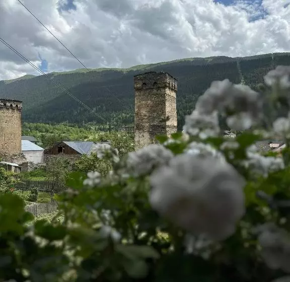 هتل Cors In Mestia