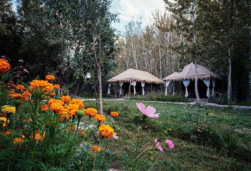 בית מלון כפרי Nubra Eco Village