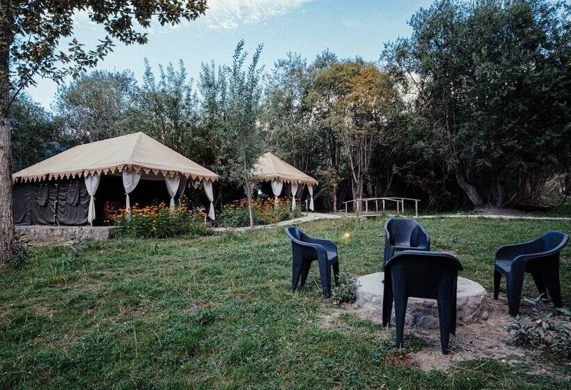 בית מלון כפרי Nubra Eco Village