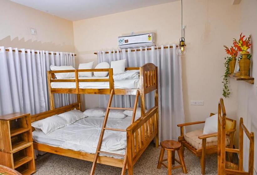 ペンション Skip Intro Stays