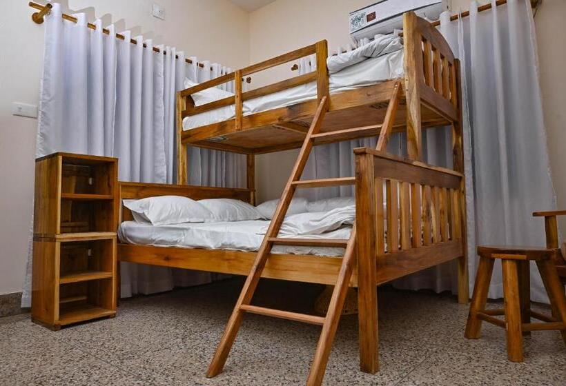 ペンション Skip Intro Stays