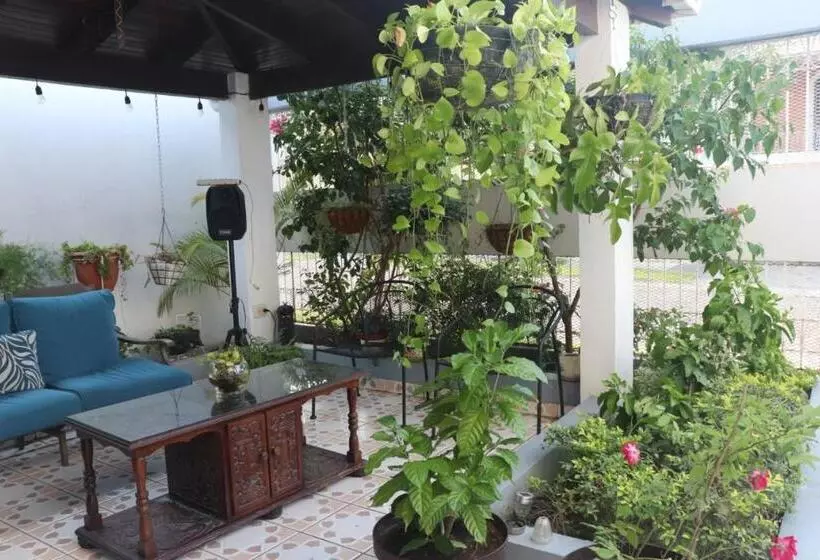 تختخواب و صبحانه El Jardin De La Nonna