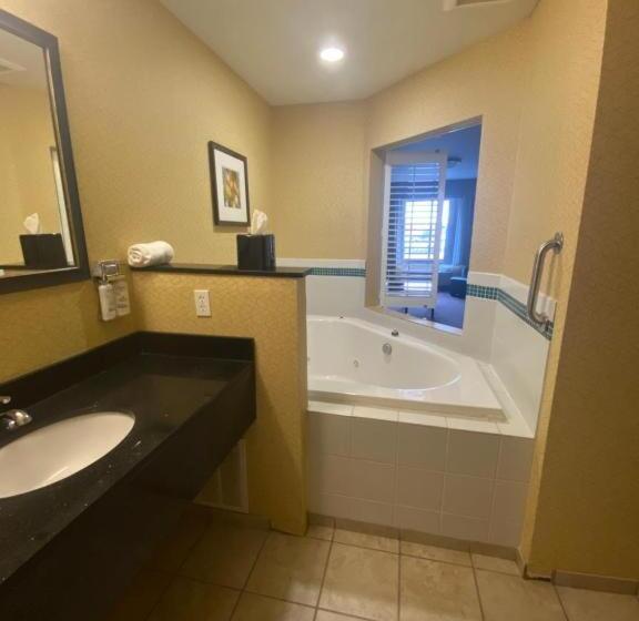 호텔 Holiday Inn Express & Suites